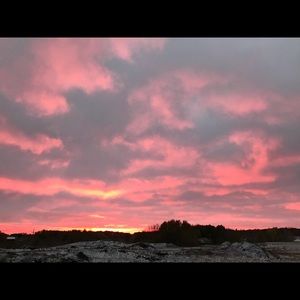 Meet your Posher, Sasha